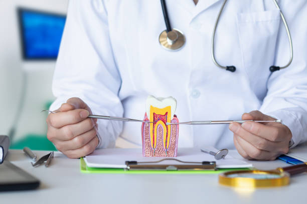 Best Urgent Tooth Repair  in South Uniontown, PA